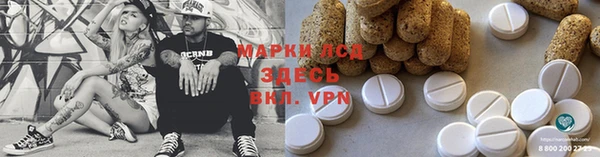 ECSTASY Новодвинск