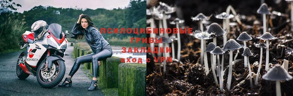 ECSTASY Новодвинск